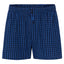 Men's Boxer Briefs Checked Fabric - Blue 6313_39